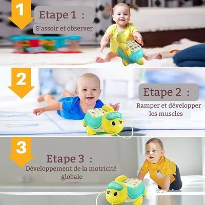 TORTUE MUSICALE | MNL CONFORT™ - MNL FAMILY